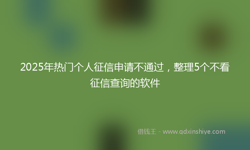 2025年热门个人征信申请不通过，整理5个不看征信查询的软件