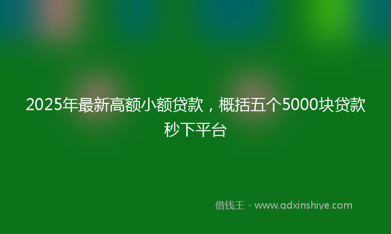 2025年最新高额小额贷款，概括五个5000块贷款秒下平台