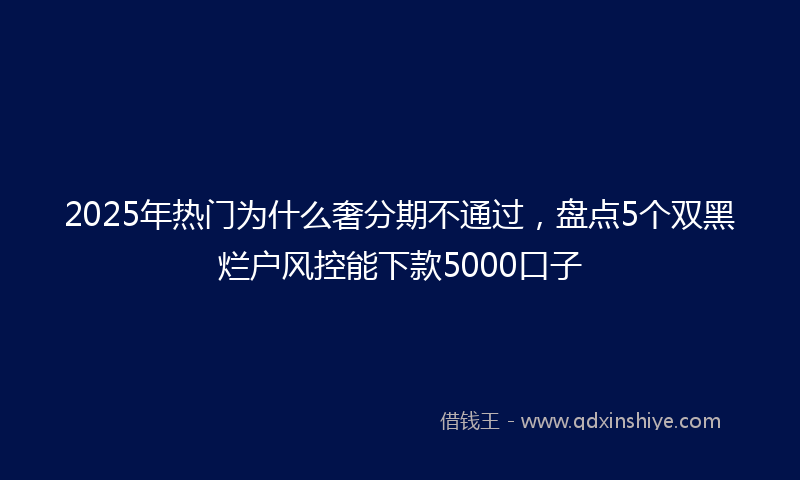 2025年热门为什么奢分期不通过，盘点5个双黑烂户风控能下款5000口子