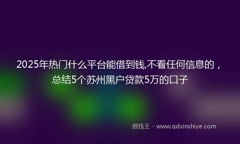 2025年热门什么平台能借到钱,不看任何信息的，总结5个苏州黑户贷款5万的口子