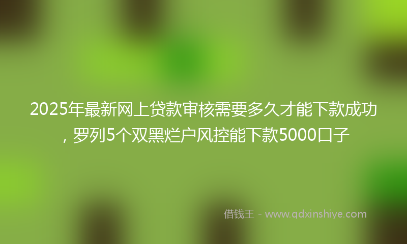 2025年最新网上贷款审核需要多久才能下款成功，罗列5个双黑烂户风控能下款5000口子