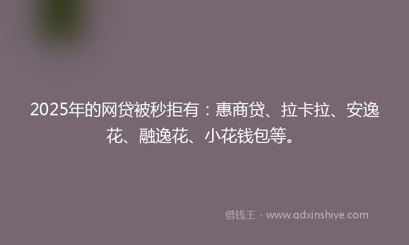 2025年的网贷被秒拒有：惠商贷、拉卡拉、安逸花、融逸花、小花钱包等。