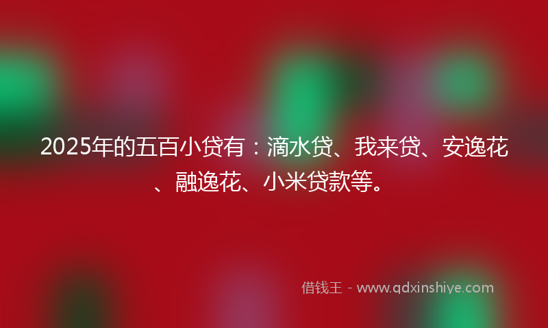 2025年的五百小贷有：滴水贷、我来贷、安逸花、融逸花、小米贷款等。