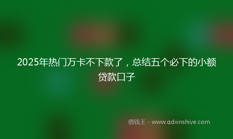 2025年热门万卡不下款了，总结五个必下的小额贷款口子