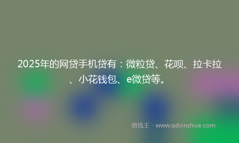 2025年的网贷手机贷有：微粒贷、花呗、拉卡拉、小花钱包、e微贷等。
