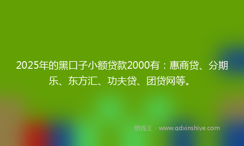 2025年的黑口子小额贷款2000有：惠商贷、分期乐、东方汇、功夫贷、团贷网等。