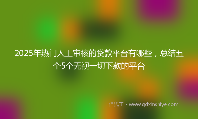 2025年热门人工审核的贷款平台有哪些，总结五个5个无视一切下款的平台