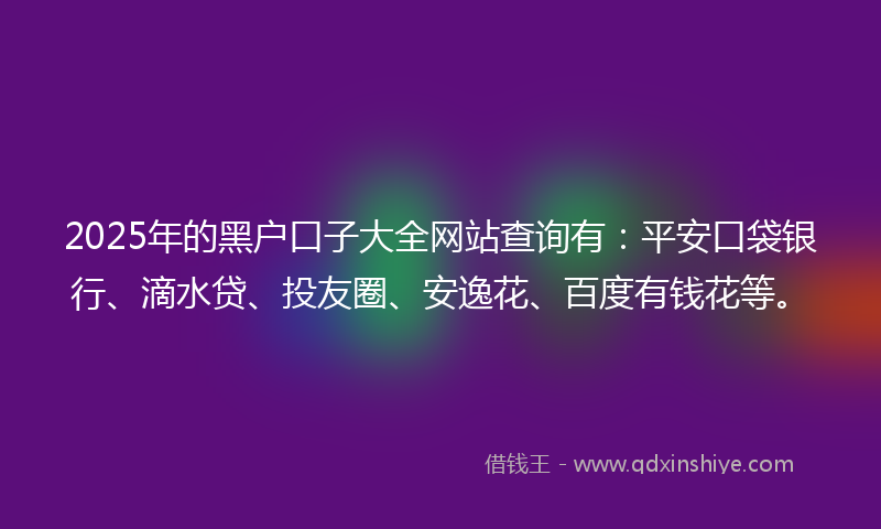 2025年的黑户口子大全网站查询有：平安口袋银行、滴水贷、投友圈、安逸花、百度有钱花等。