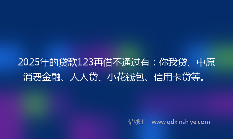 2025年的贷款123再借不通过有：你我贷、中原消费金融、人人贷、小花钱包、信用卡贷等。