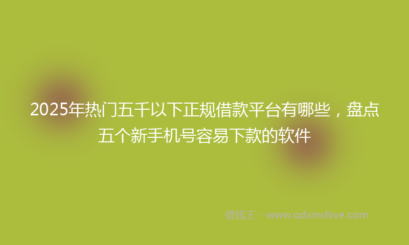2025年热门五千以下正规借款平台有哪些，盘点五个新手机号容易下款的软件