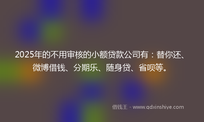 2025年的不用审核的小额贷款公司有：替你还、微博借钱、分期乐、随身贷、省呗等。