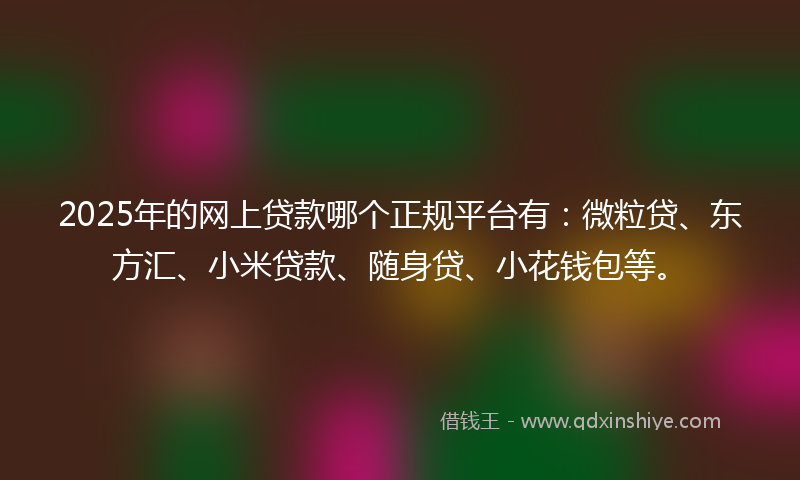 2025年的网上贷款哪个正规平台有：微粒贷、东方汇、小米贷款、随身贷、小花钱包等。