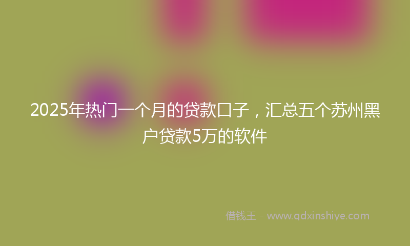 2025年热门一个月的贷款口子，汇总五个苏州黑户贷款5万的软件
