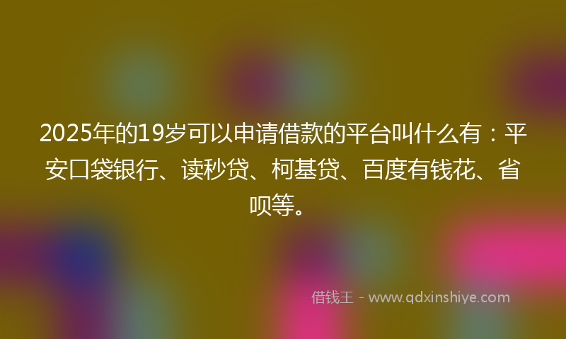 2025年的19岁可以申请借款的平台叫什么有：平安口袋银行、读秒贷、柯基贷、百度有钱花、省呗等。