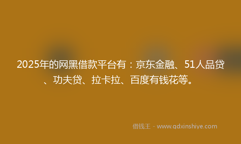 2025年的网黑借款平台有：京东金融、51人品贷、功夫贷、拉卡拉、百度有钱花等。