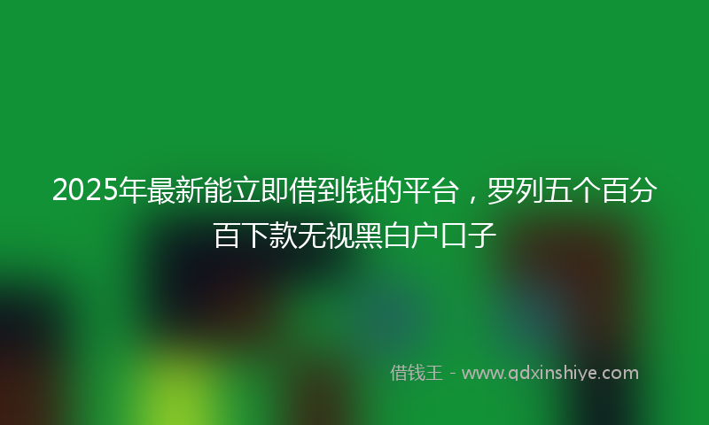 2025年最新能立即借到钱的平台，罗列五个百分百下款无视黑白户口子