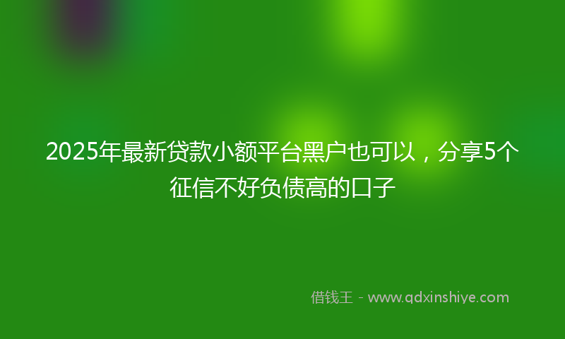 2025年最新贷款小额平台黑户也可以，分享5个征信不好负债高的口子