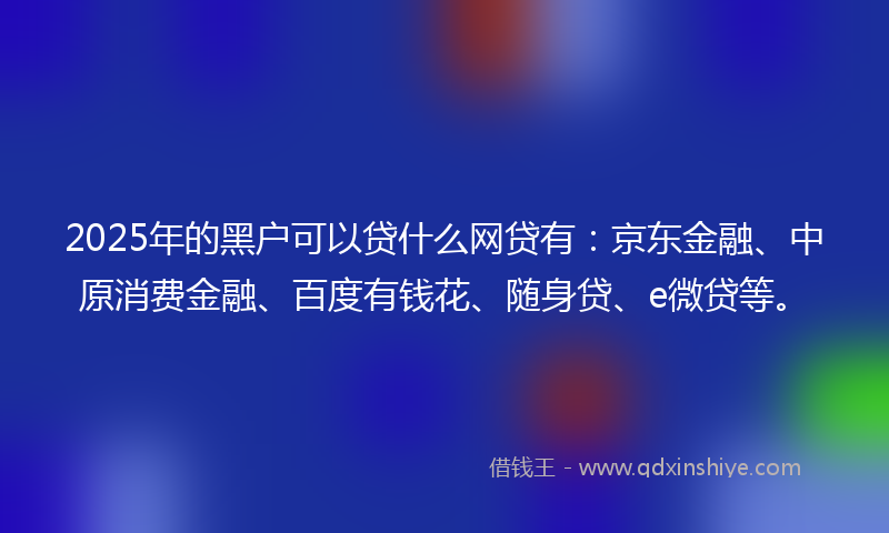 2025年的黑户可以贷什么网贷有：京东金融、中原消费金融、百度有钱花、随身贷、e微贷等。