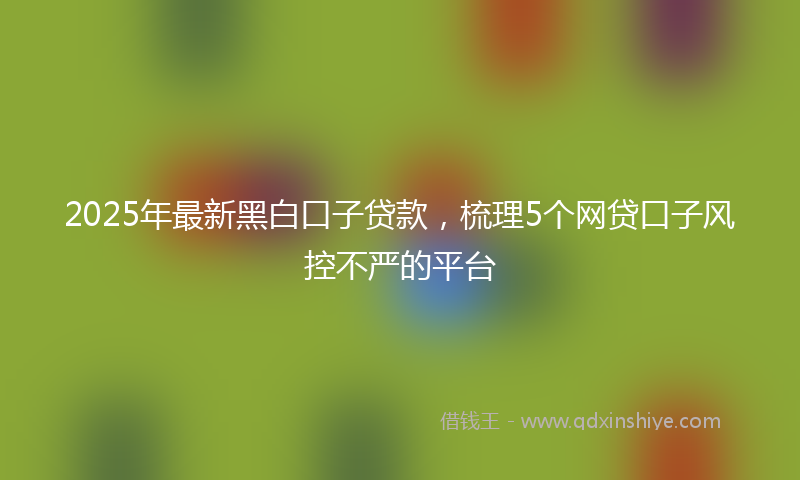 2025年最新黑白口子贷款，梳理5个网贷口子风控不严的平台