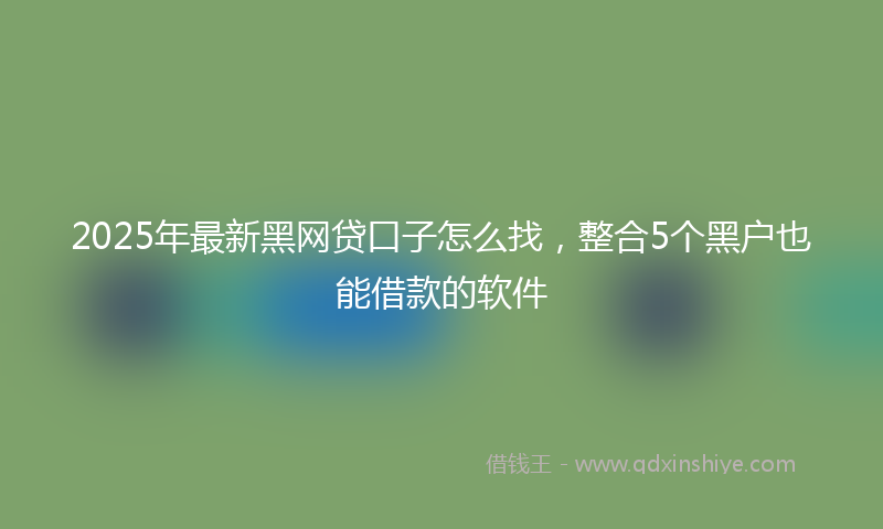 2025年最新黑网贷口子怎么找，整合5个黑户也能借款的软件
