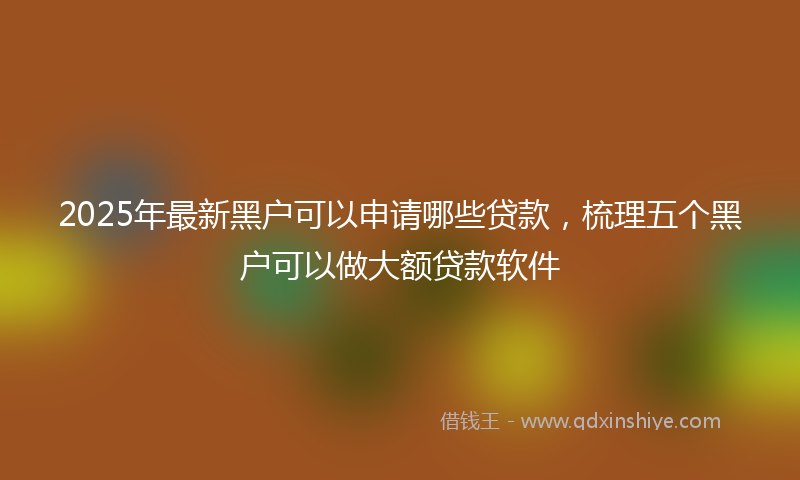 2025年最新黑户可以申请哪些贷款，梳理五个黑户可以做大额贷款软件