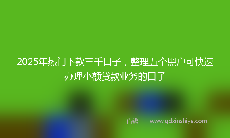 2025年热门下款三千口子，整理五个黑户可快速办理小额贷款业务的口子