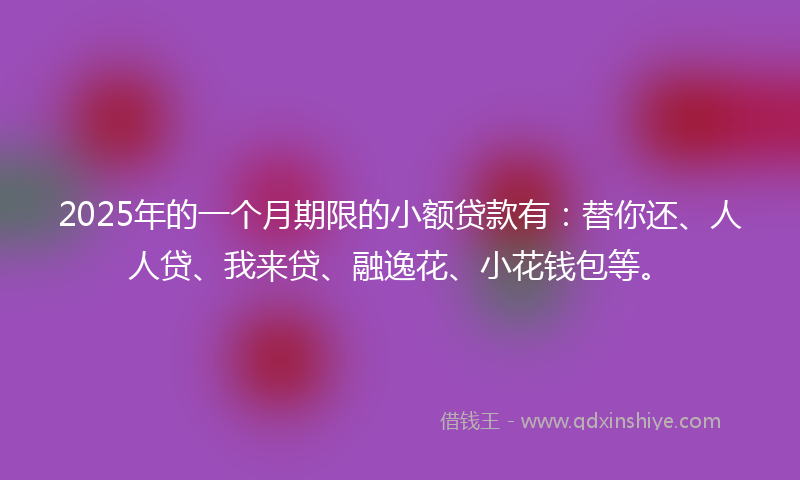 2025年的一个月期限的小额贷款有：替你还、人人贷、我来贷、融逸花、小花钱包等。