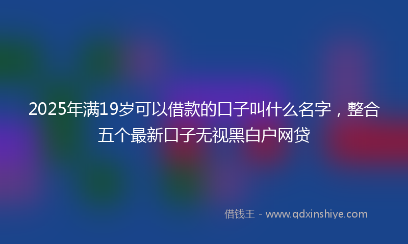 2025年满19岁可以借款的口子叫什么名字，整合五个最新口子无视黑白户网贷