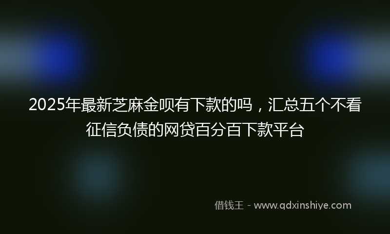 2025年最新芝麻金呗有下款的吗，汇总五个不看征信负债的网贷百分百下款平台