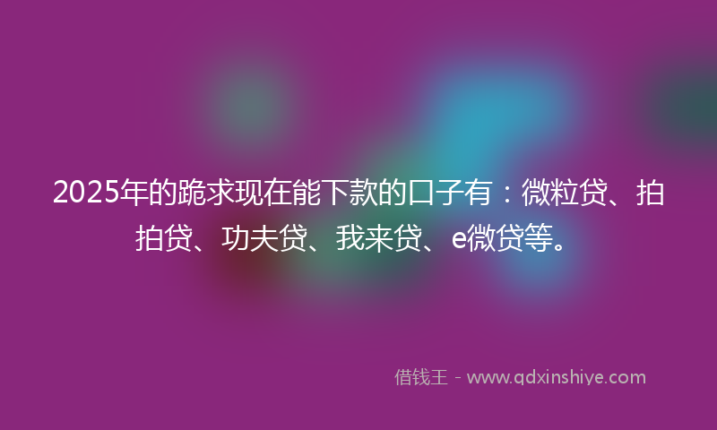 2025年的跪求现在能下款的口子有：微粒贷、拍拍贷、功夫贷、我来贷、e微贷等。