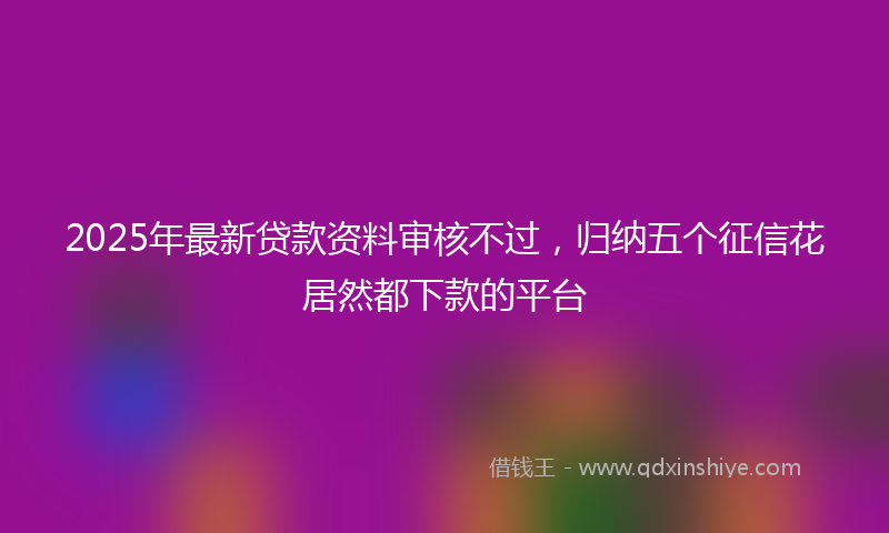 2025年最新贷款资料审核不过，归纳五个征信花居然都下款的平台