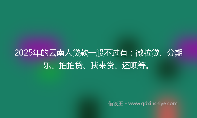 2025年的云南人贷款一般不过有：微粒贷、分期乐、拍拍贷、我来贷、还呗等。