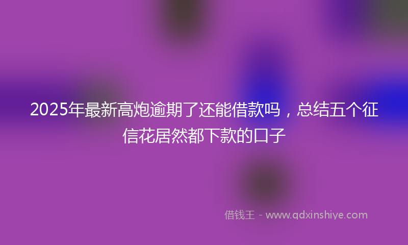 2025年最新高炮逾期了还能借款吗，总结五个征信花居然都下款的口子