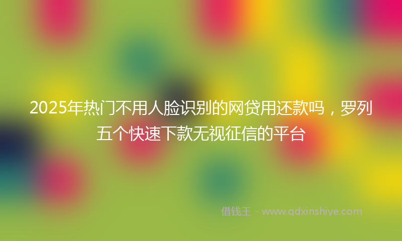 2025年热门不用人脸识别的网贷用还款吗，罗列五个快速下款无视征信的平台