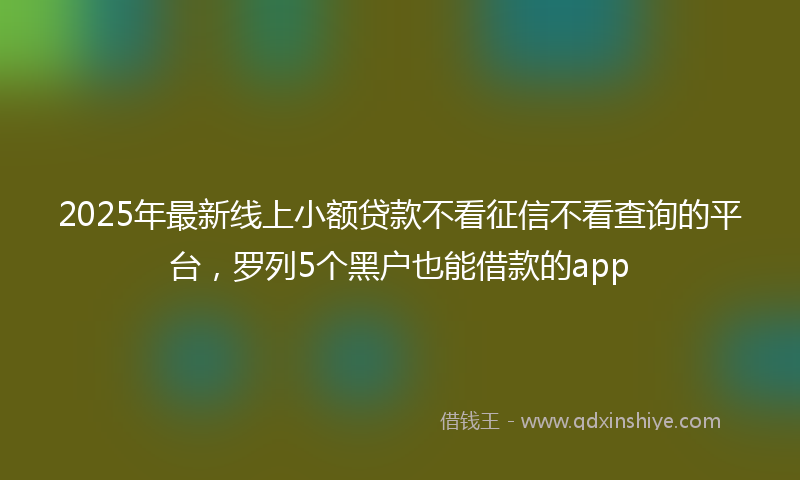 2025年最新线上小额贷款不看征信不看查询的平台，罗列5个黑户也能借款的app