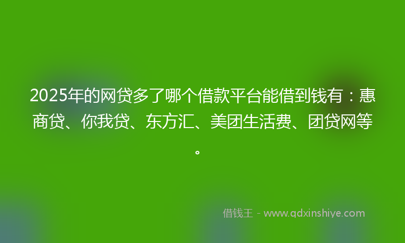 2025年的网贷多了哪个借款平台能借到钱有：惠商贷、你我贷、东方汇、美团生活费、团贷网等。
