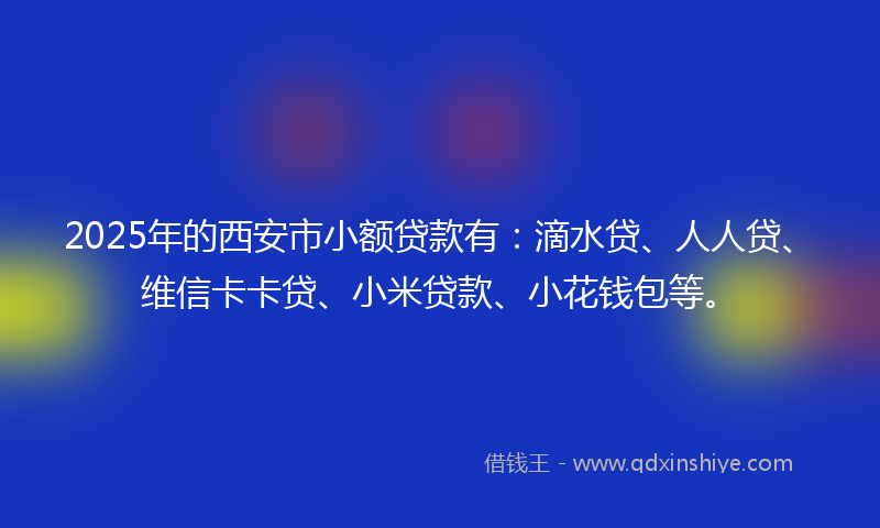 2025年的西安市小额贷款有：滴水贷、人人贷、维信卡卡贷、小米贷款、小花钱包等。