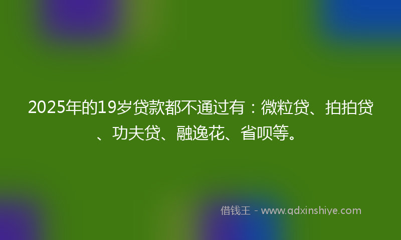 2025年的19岁贷款都不通过有：微粒贷、拍拍贷、功夫贷、融逸花、省呗等。