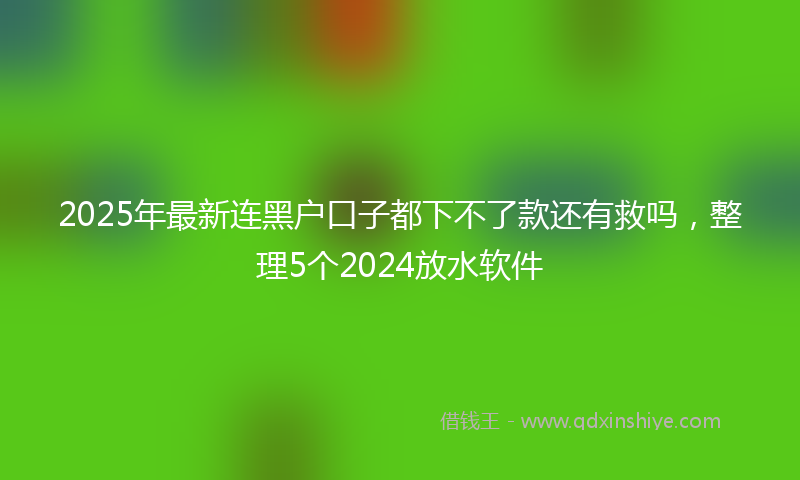 2025年最新连黑户口子都下不了款还有救吗，整理5个2024放水软件