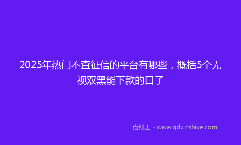 2025年热门不查征信的平台有哪些，概括5个无视双黑能下款的口子