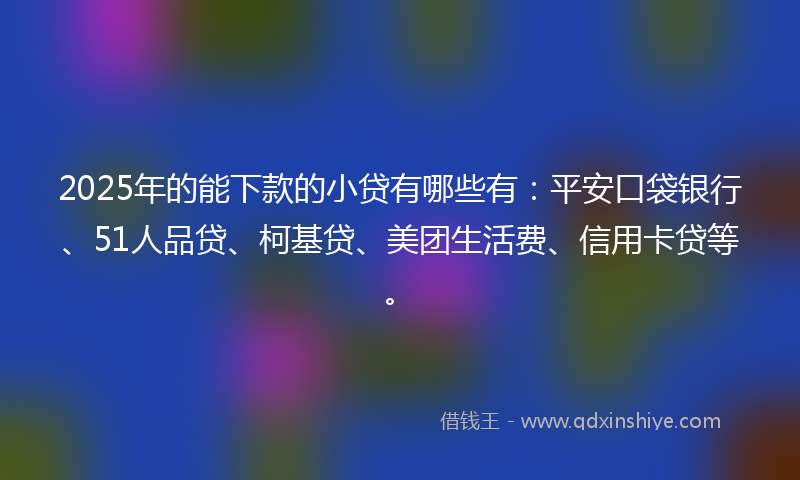 2025年的能下款的小贷有哪些有：平安口袋银行、51人品贷、柯基贷、美团生活费、信用卡贷等。