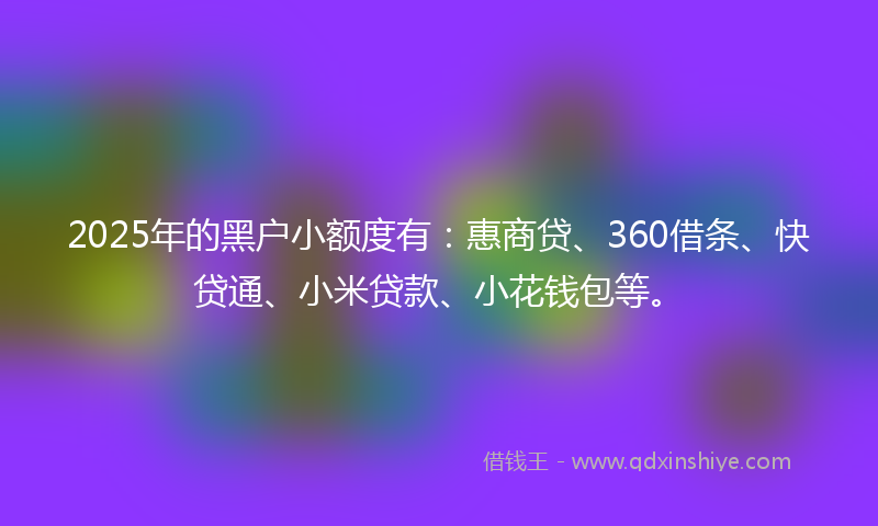 2025年的黑户小额度有：惠商贷、360借条、快贷通、小米贷款、小花钱包等。