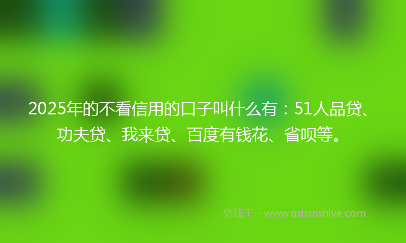 2025年的不看信用的口子叫什么有：51人品贷、功夫贷、我来贷、百度有钱花、省呗等。