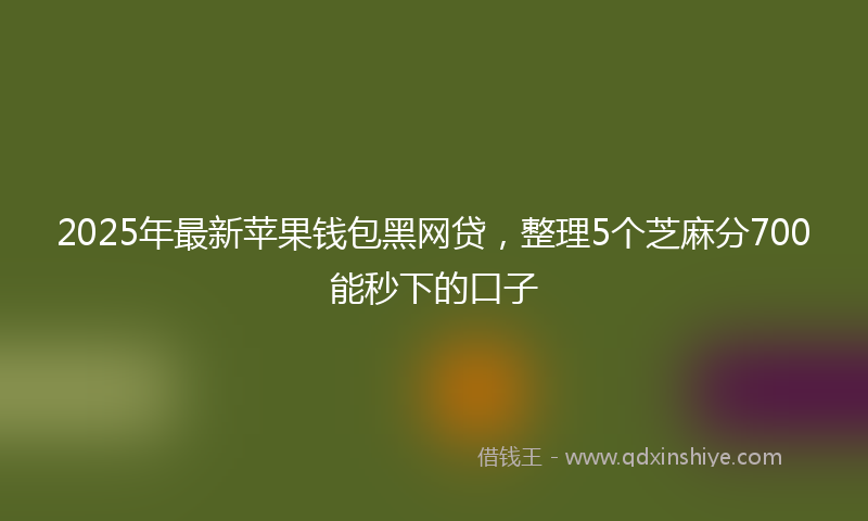 2025年最新苹果钱包黑网贷，整理5个芝麻分700能秒下的口子