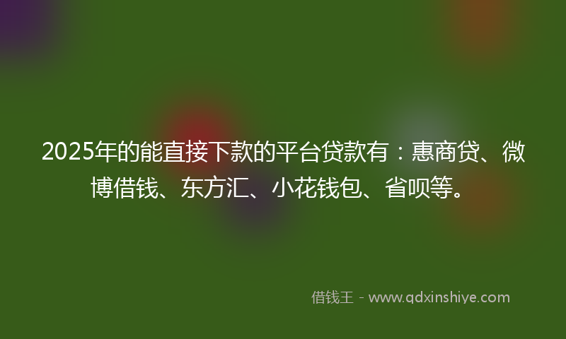 2025年的能直接下款的平台贷款有：惠商贷、微博借钱、东方汇、小花钱包、省呗等。
