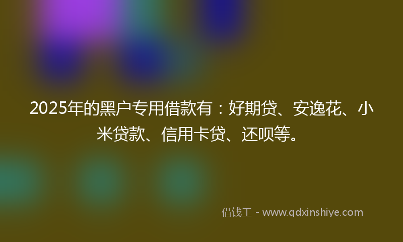 2025年的黑户专用借款有：好期贷、安逸花、小米贷款、信用卡贷、还呗等。
