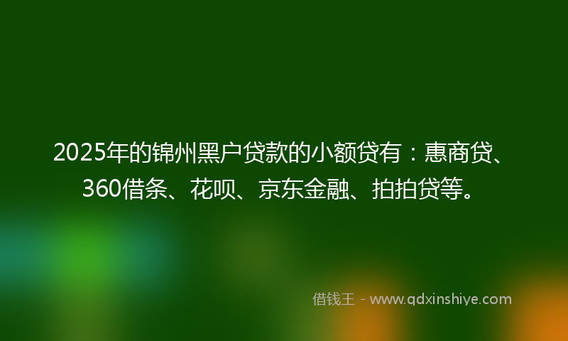 2025年的锦州黑户贷款的小额贷有:惠商贷、360借条、花呗、京东金融、拍拍贷等。