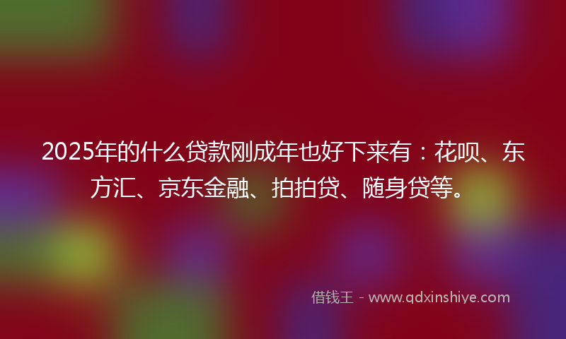 2025年的什么贷款刚成年也好下来有：花呗、东方汇、京东金融、拍拍贷、随身贷等。