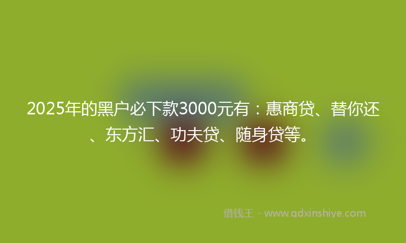 2025年的黑户必下款3000元有：惠商贷、替你还、东方汇、功夫贷、随身贷等。