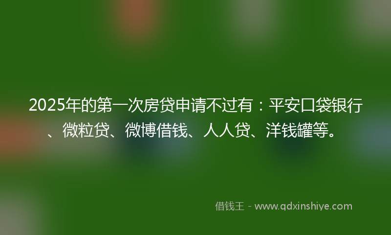 2025年的第一次房贷申请不过有：平安口袋银行、微粒贷、微博借钱、人人贷、洋钱罐等。